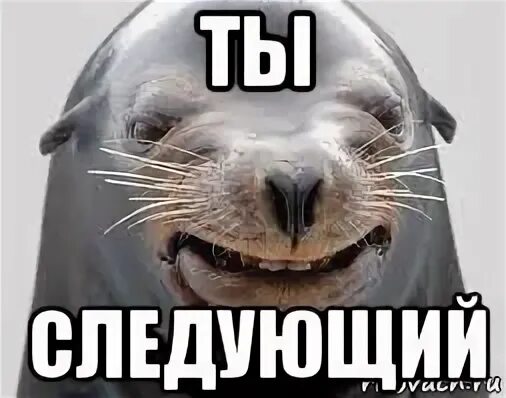 Давай следующую картинку