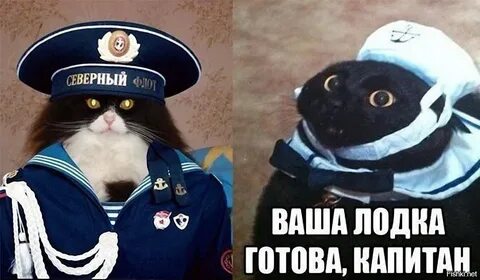 Да я готов