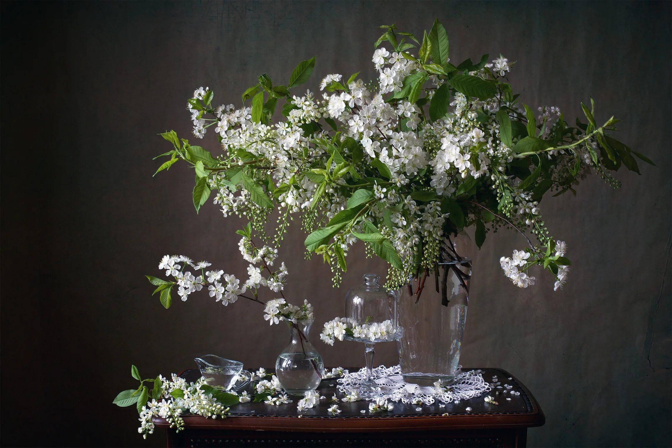 влюбленные под черемухой. черемуха цветет. вот уже появились душистые кисти на черемухе. черемуха в деревне. черемуха забайкалья.