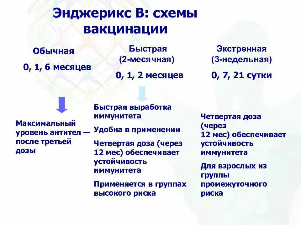 Вакцинация гепатит в схема. Энджерикс схема. Вакцина энджерикс схема вакцинации. Вакцина гепатита в энджерикс.