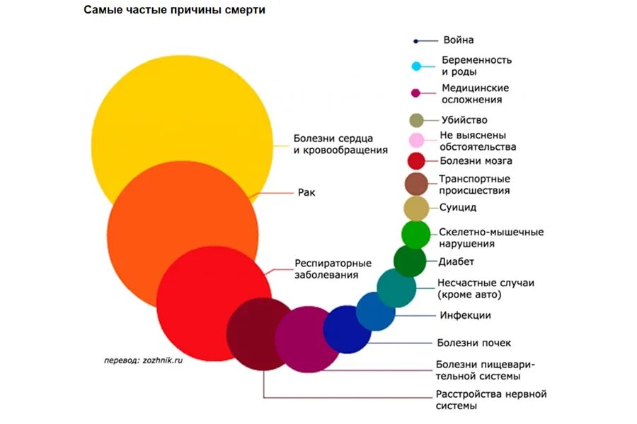 Какая группа людей чаще всего является. Схема наследственности гемофилии. Какая группа людей чаще всего является. Правила организации работы в команде. Межличностное взаимодействие.