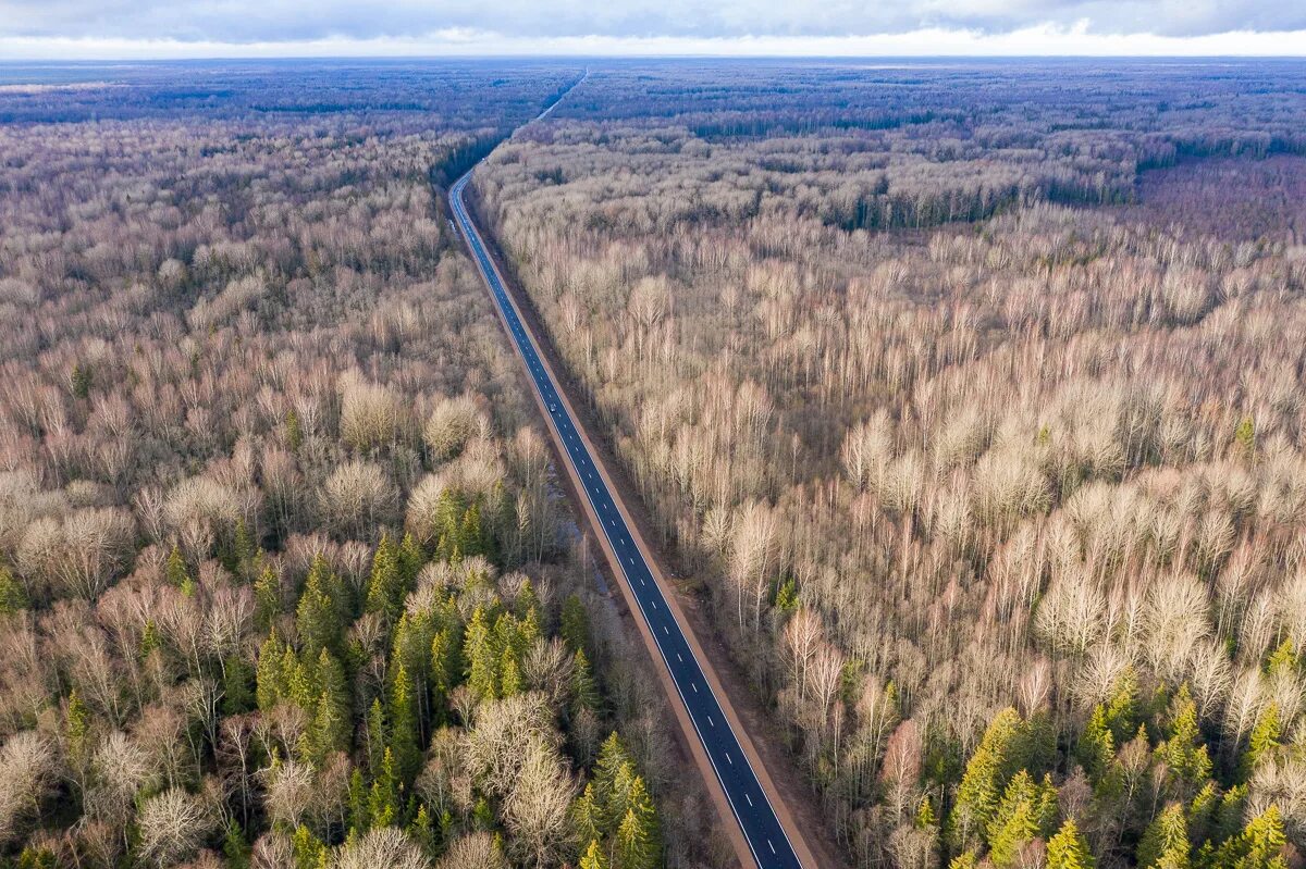 Закрытие дорог псковская область 2024. Феофилова пустынь Шимск. Новгород-Псков"-Феофилова пустынь. Дорога Великий Новгород Шимск. Дорога Феофилова пустынь Шимск состояние.