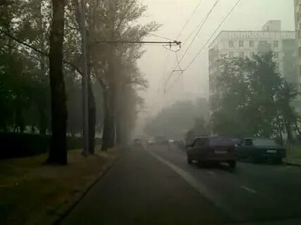 Видео 2010 года