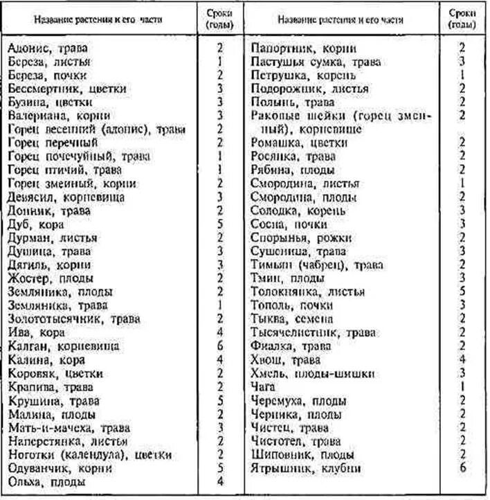 Травы сколько хранить. Срок годности лекарственных трав. Сроки хранения лекарственных трав. Сроки хранения лекарственных растений. Срок хранения сушеных трав.