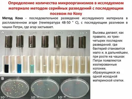 Определение понятия чистая культура