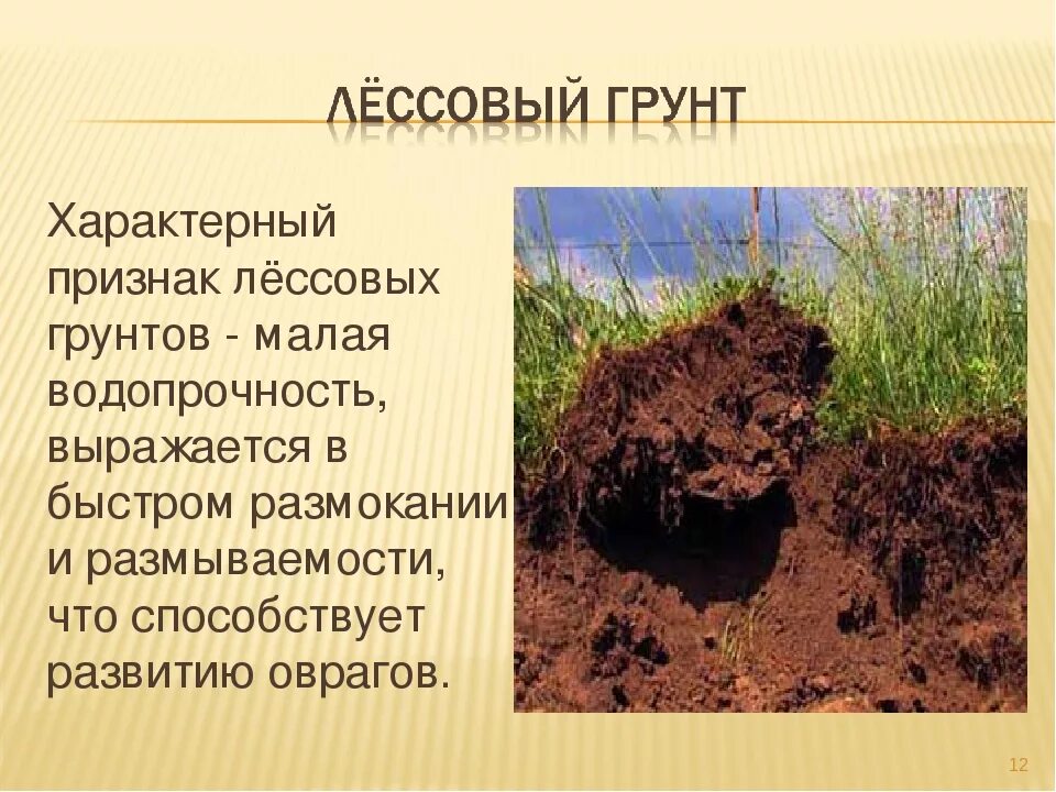 Грунт является. Лессовидные суглинки. лессовые почвы. лессы и лессовидные грунты это. лесс грунт.