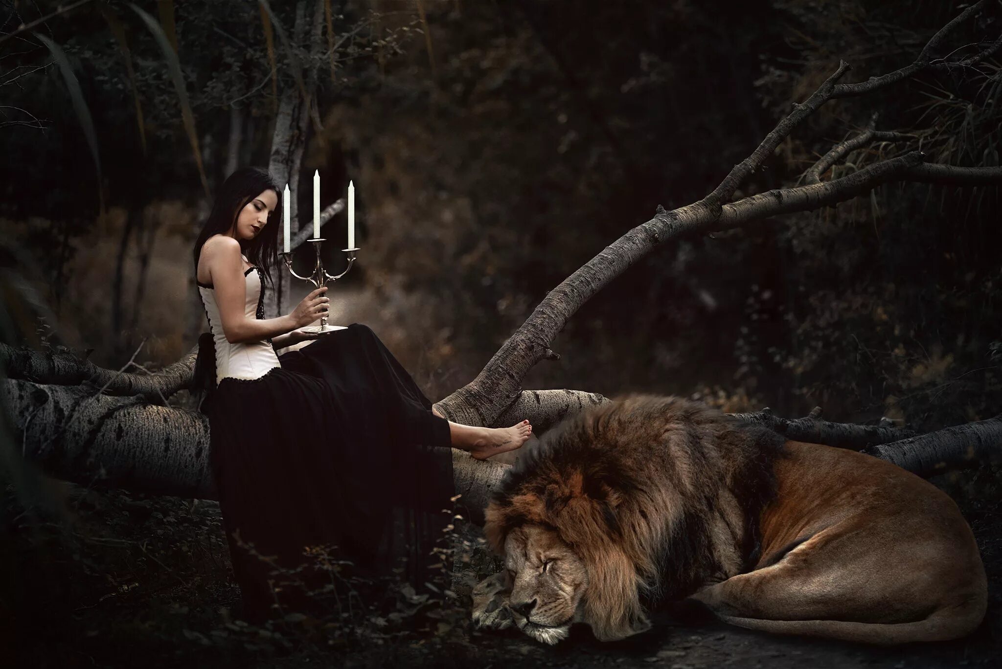Woman with animals. Фотосессия со львом. Лев и брюнетка. Девушка и Лев. Красивая девушка со львом.
