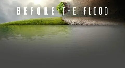 The flood