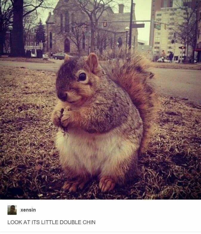 Магия спанч боб. У мэри был ягненок. Уикенд пикчерз. Elian pretty little pink лак. Cowboy bebop wallpapers 1920x1080.