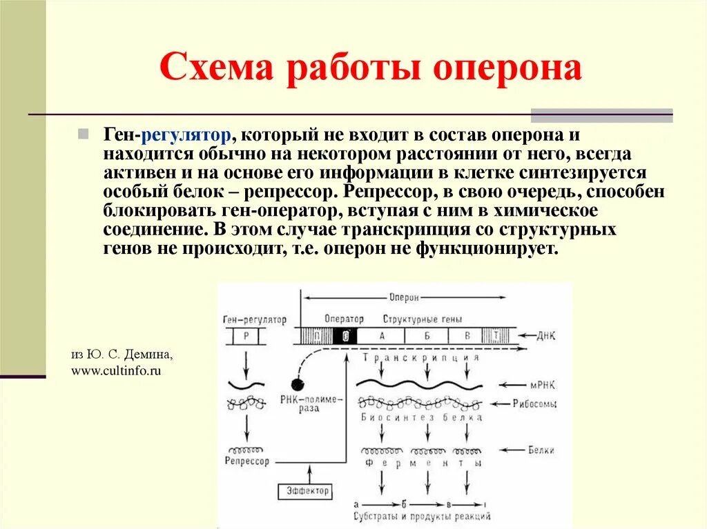 Регуляция биосинтеза белков у прокариот