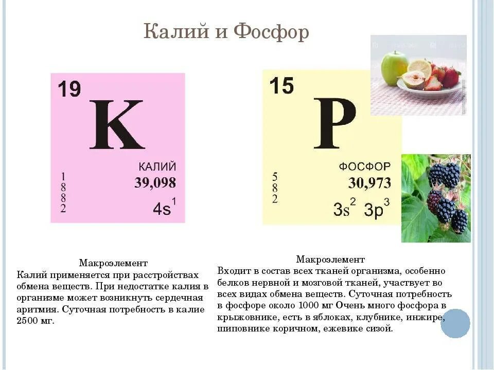 Какая суточная норма калия. Калий. Калий в организме. Фосфор макроэлемент. Калий микроэлемент.