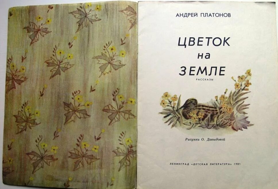 А П Платонов цветок на земле. Цветок на земле иллюстрация. А п платонова цветок на земле