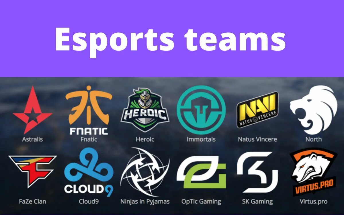 Клауд хероик прогноз. Широ клауд 9. Клауд хероик прогноз. Новый состав клауд 9 кс го. Cloud9 team.