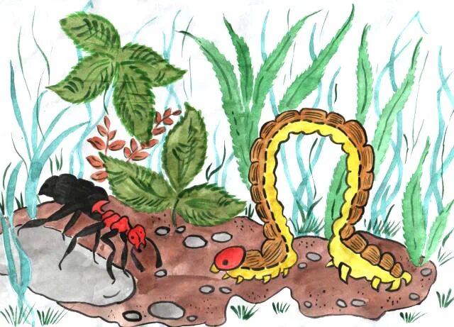 Заходер гусеница. Берестов сказка честное гусеничное. Заходер гусеница. Стихотворение про гусеницу для детей. Заходер гусеница.