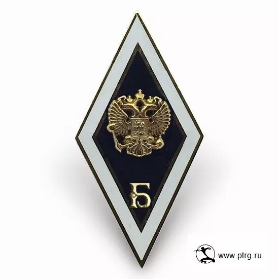 Знак магистр. Академический нагрудный знак бакалавр. Нагрудный знак университет СИНЕРГИЯ. Нагрудный знак СИНЕРГИЯ ромб. Академический нагрудный знак Магистр.