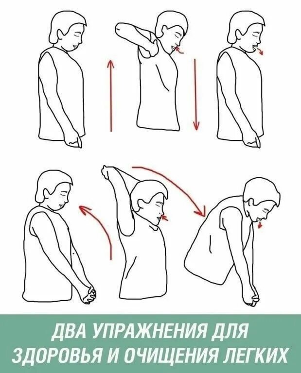 Поза йоги собака мордой вниз. Более легкие занятия. Гимнастические упражнения легкие. Более легкие занятия. Задачи лфк при бронхиальной астме.