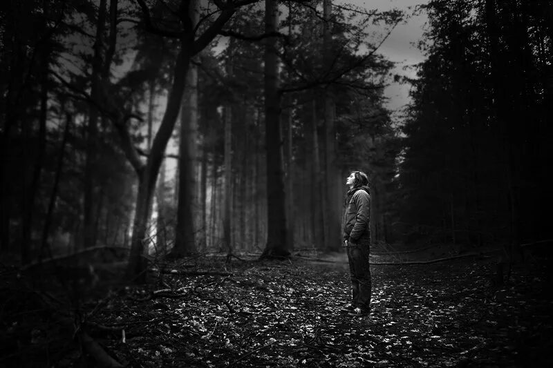 человек в ночном лесу. осенние картинки. мальчик черный в лесу. мальчик черный в лесу. мальчик черный в лесу.