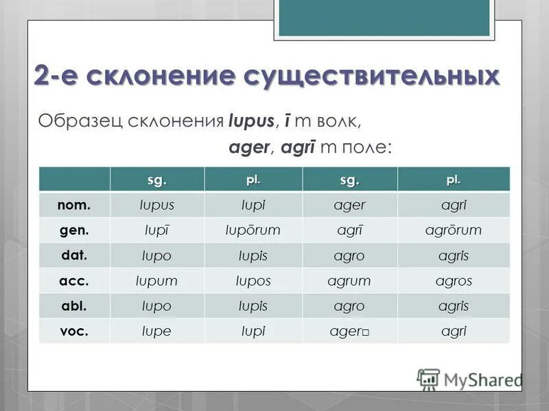 2 существительных