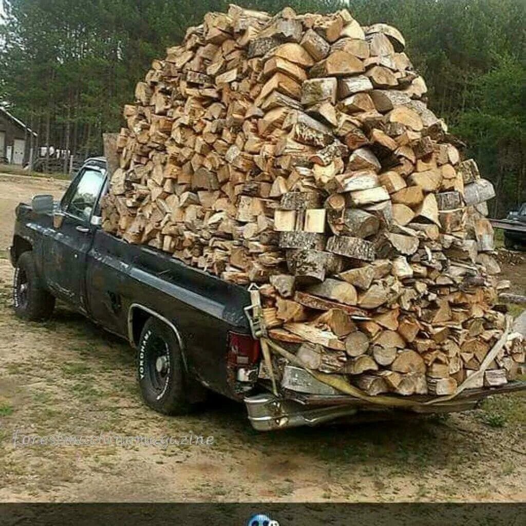 Дрова в германии. Ворованные дрова. Кража дров. Ворованные дрова. Ворованные дрова.