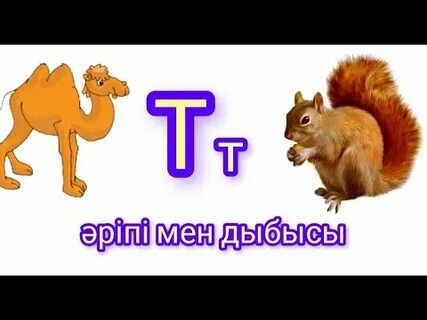 Университет жатақханасындағы порно