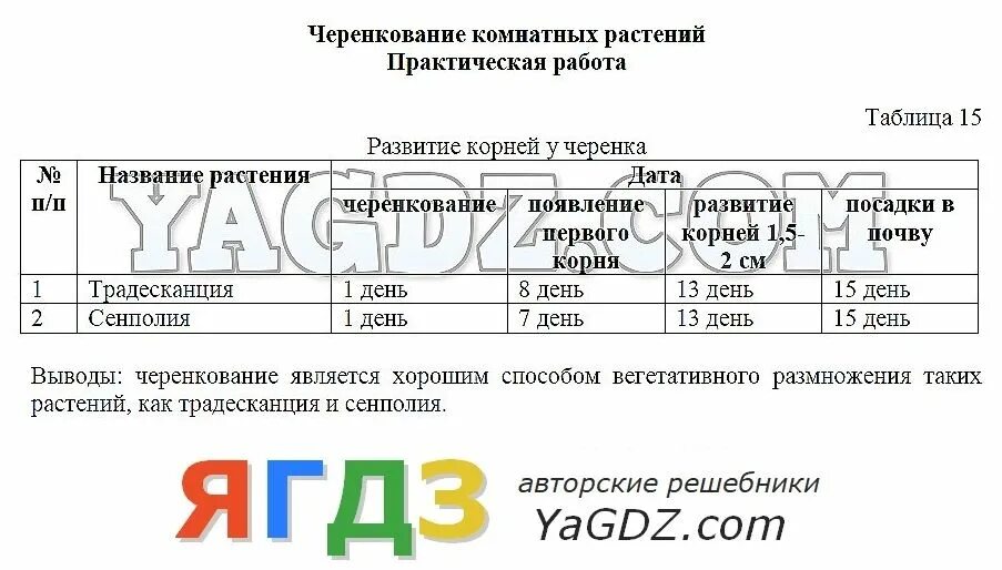 Черенкование комнатных растений лабораторная работа 6 класс. Лабораторная работа черенкование комнатных растений таблица. Черенкованием размножение лабораторная работа. Биология 6 класс лабораторная работа черенкование.