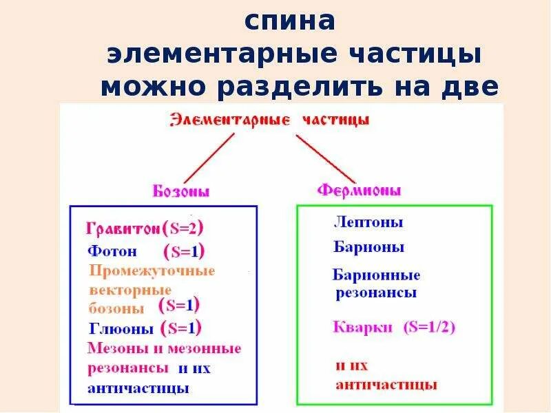 Две группы частиц. Частица схема. простейшие частицы. элементарные частицы. схема все частицы.