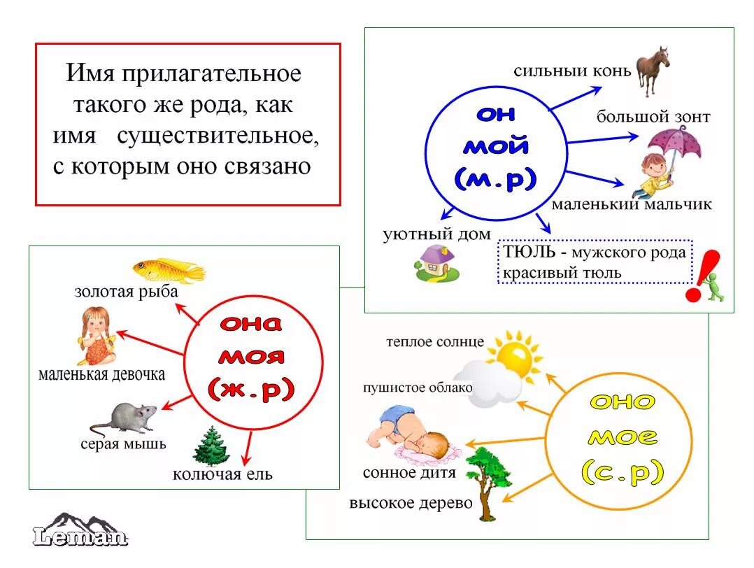 Имя прилагательное карточки. Прилагательное таблицы и схемы. Карточки род и число имен существительных. Опорная схема имя прилагательное. Карточки по русскому имя прилагательное 3 класс