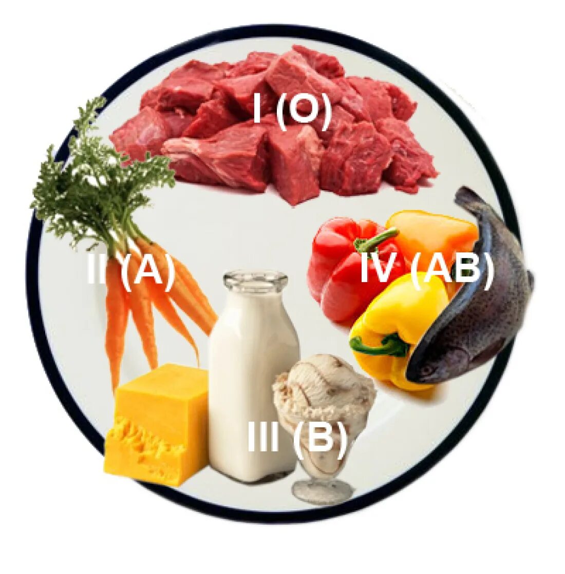 Группы питания людей