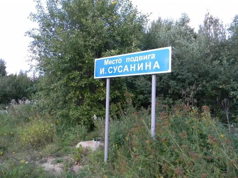 Где находится сусанина. Сусанинское (исуповское, болото чистое) болото. болото ивана сусанина кострома. исуповское болото костромская область.