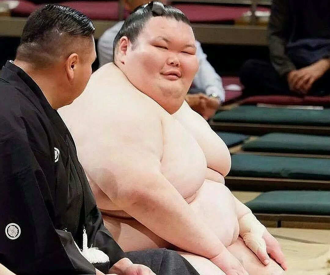 почему человек пухлый