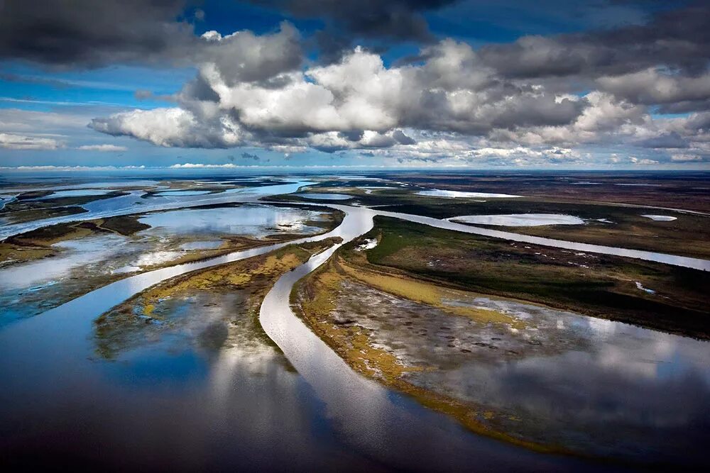 Река Юрибей. Ямало немецкий автономный круг. Ямало-Ненецкий автономный округ. Ямало-Ненецкий автономный округ тундра.