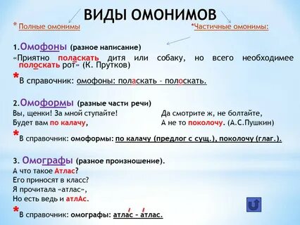 Виды омонимов