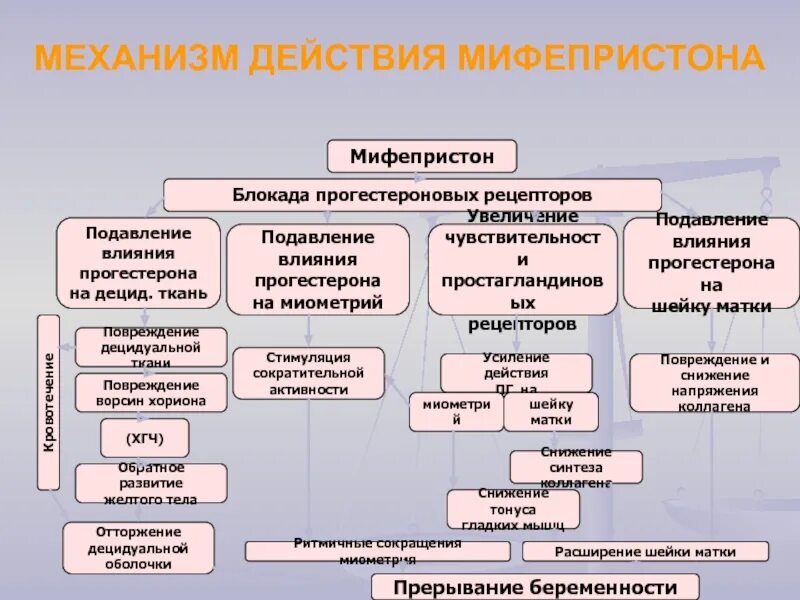 Мифепристон схватки. Механизм действия мифепристона. Мифепристон для родоразрешения. Таблетки для стимуляции родов мифепристон. После мифепристона.