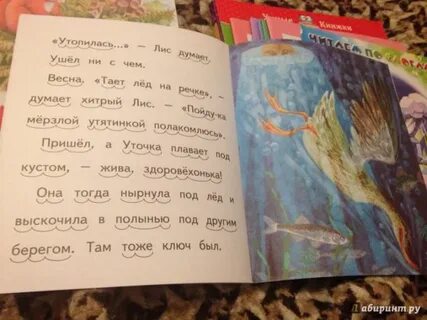 План текста хитрый лис и умная уточка