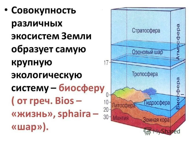 Самая большая экосистема на земле