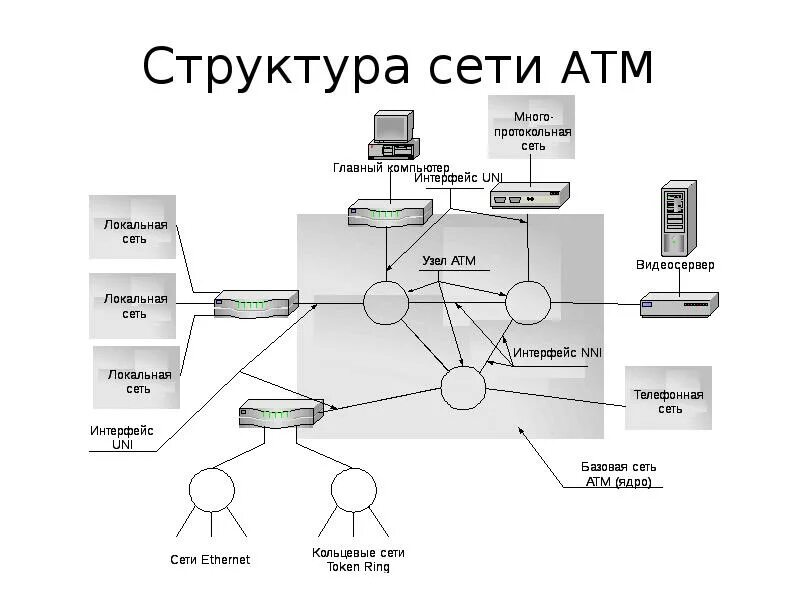 Структуры сетей таблица