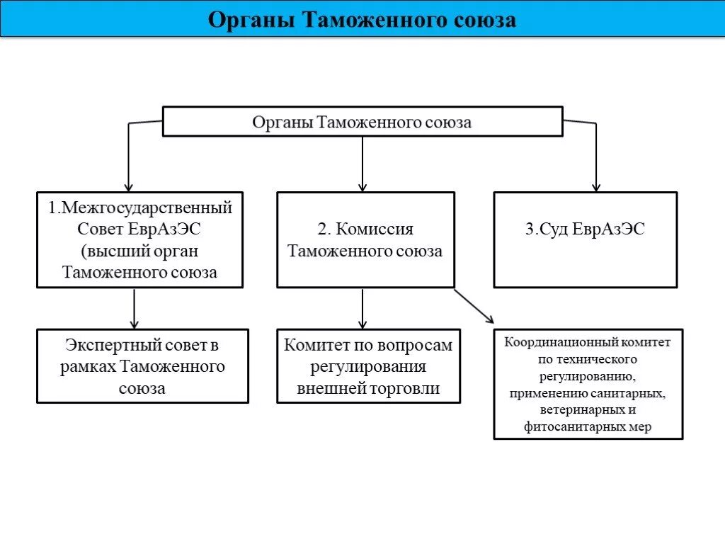 Структура таможенного Союза. Структура таможенных органов таможенного Союза. Таможенный Союз руководящие органы. Организационная структура таможенного Союза.