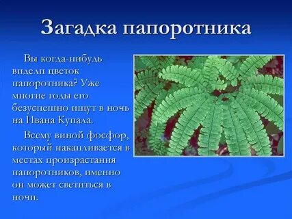 Растения троя