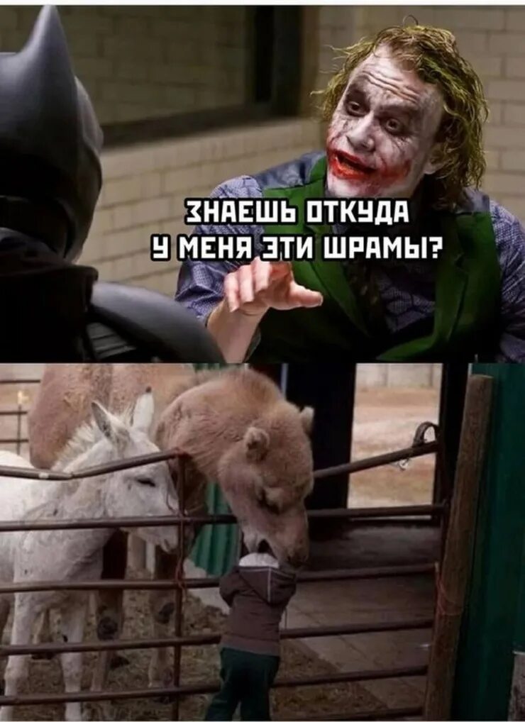 смешные новости шуточные. хорошие новости анекдот. смешные новости анекдоты. шутки про новости. действительно смешные шутки.