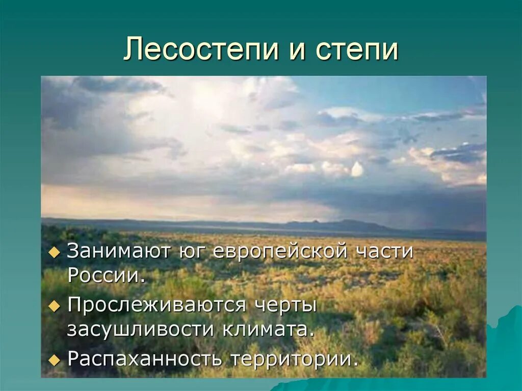 Степи презентация 7 класс. Степи европейской части России. Степи России презентация. Природные зоны России лесостепи. Зоны степей и лесостепей России.