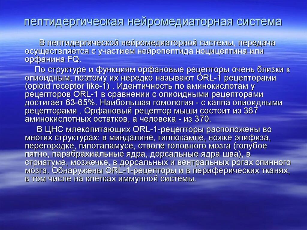 Оценочная деятельность направлена