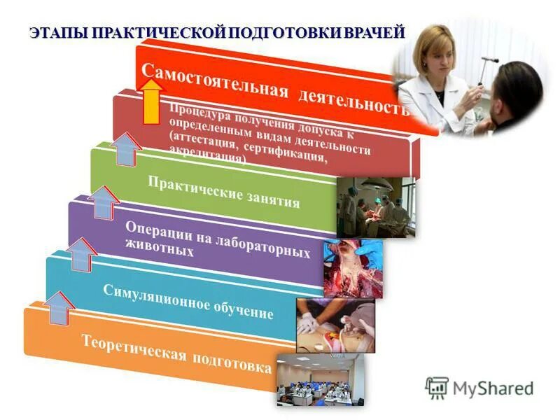 основные этапы практического занятия