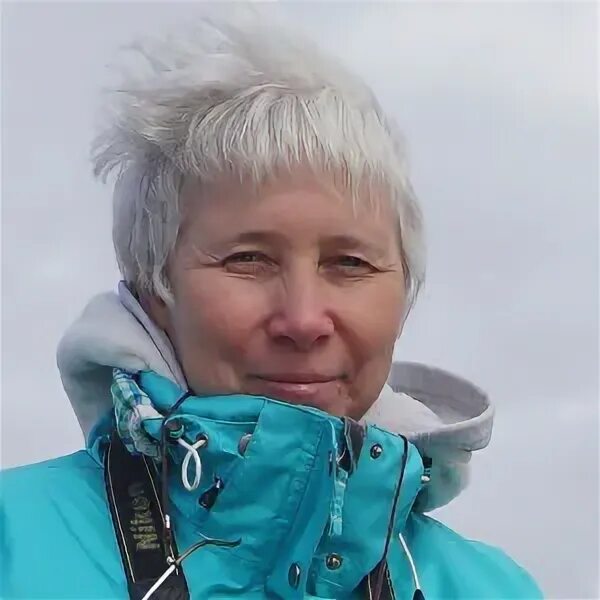 Чудинова н н. Е в чудинова.