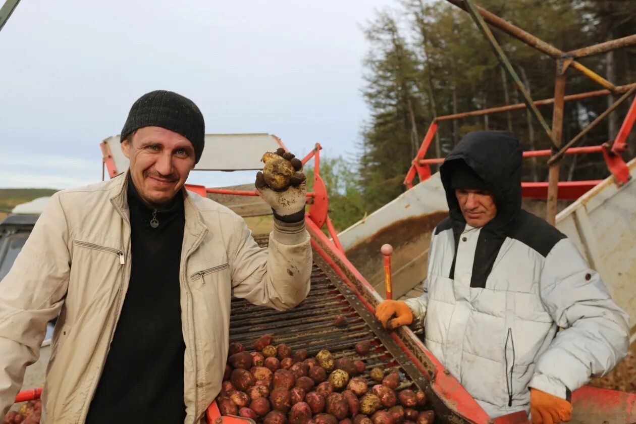 Где то в поле в магадане
