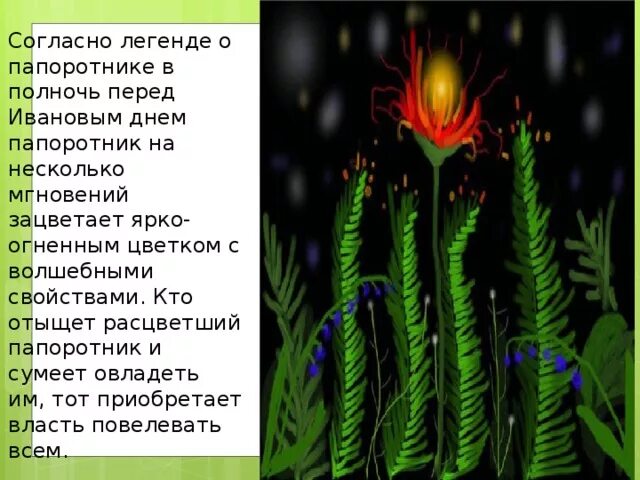 Волшебный цветок папоротника. Рассказ алый цветок папоротника глава 105. Цветок папоротника миф. Рассказ алый цветок папоротника глава 105. Рассказ алый цветок папоротника глава 105.
