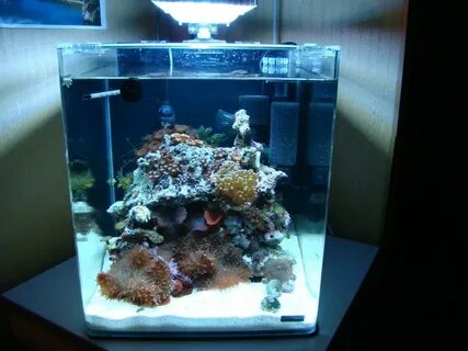Морской аквариум 30