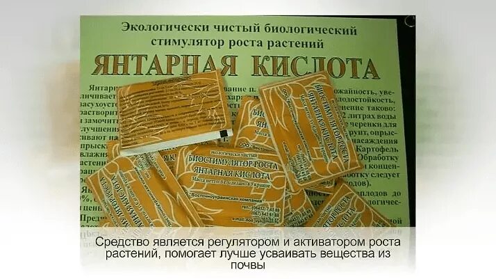 Янтарная кислота для рассады томатов после пикировки. Янтарная кислота порошок 5 г. для растений. Янтарная кислота 5г (порошок) для растений инструкция. Янтарная кислота для рассады. Янтарная кислота для полива растений.