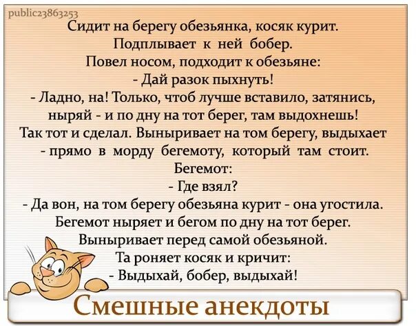 Текст песни бобра. Бобер Выдыхай анекдот. Аникдот про бобëр Выдыхай. Анекдот про бобра Выдыхай бобер. Анекдоты свежие.