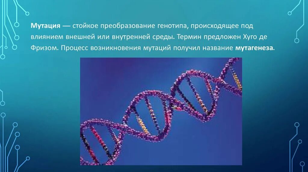 Стойкое изменение генотипа. Инсерционный мутагенез. Мутации в генах. Инсерционный мутагенез микробиология. Мутации рисунок.