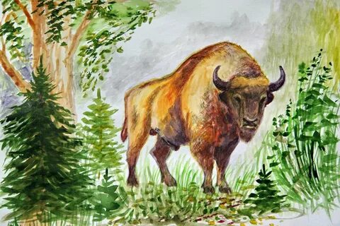 Рисунки орловского полесья
